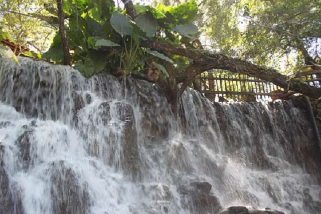 El parque